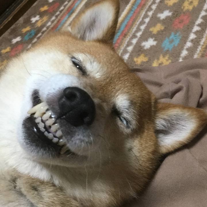 03716616 d79a 477c 899b 292823238db5 1560330364227