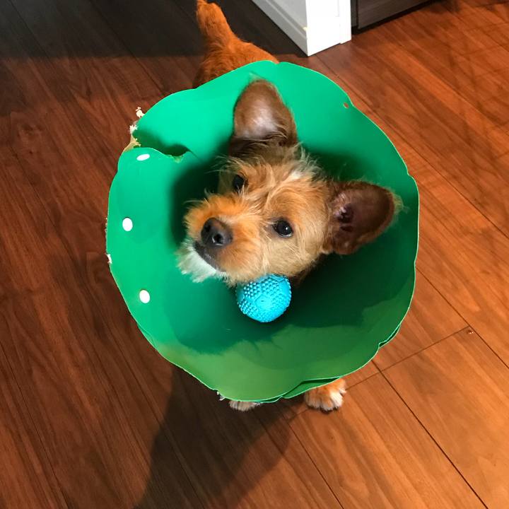 03717290 a72f 4644 a79b b375a7db4e17 1526881449808