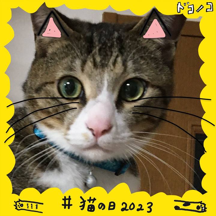 0371783b 55da 4f3c 97b7 bbb3e4d10aad 1676995872342