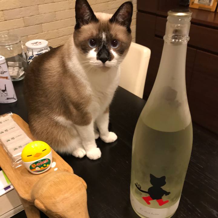 0371a1db 4f2f 4377 9e4e 276eafee3320 1566473976927