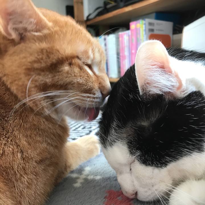 0371c23c 0eaa 4ef4 b888 8da1525c636a 1549929697129