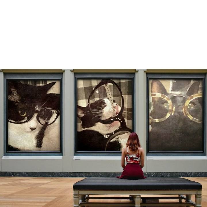 0371cc28 c8ed 4da1 a7e4 fb9e570a1b79 1554301267748