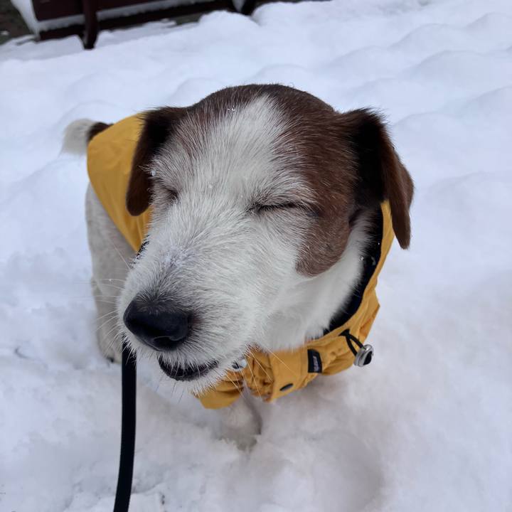 0371f6bd 4990 4d2e a113 cb5810382c98 1770605015332