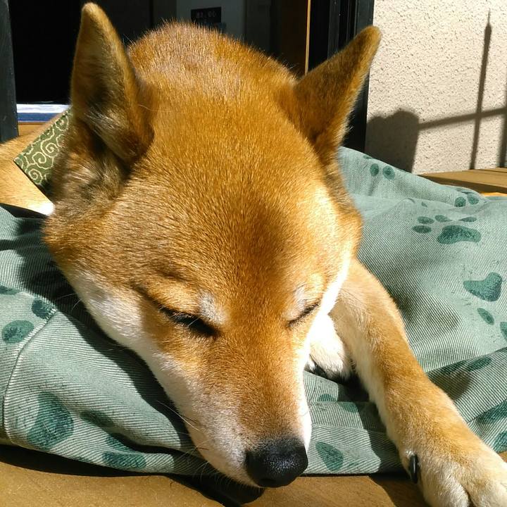 03720d9f b164 4ac9 9f0f 2aa8356fd7ed 1518059798138