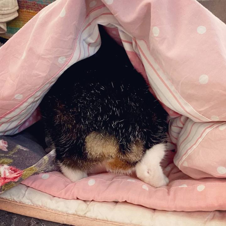 03725467 04d8 4f46 9819 3cd7603879c8 1601421991227