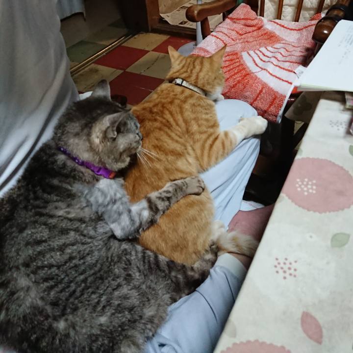 03727882 26b3 462e a2cc 8a744d2e256e 1592996167693