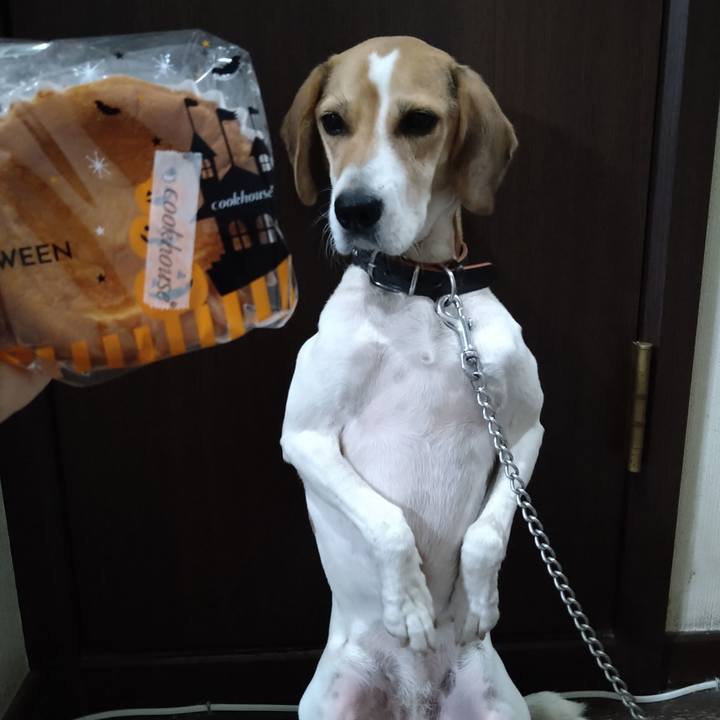 03727b0e 05f5 44cc a385 e3b780f858fe 1635520812704