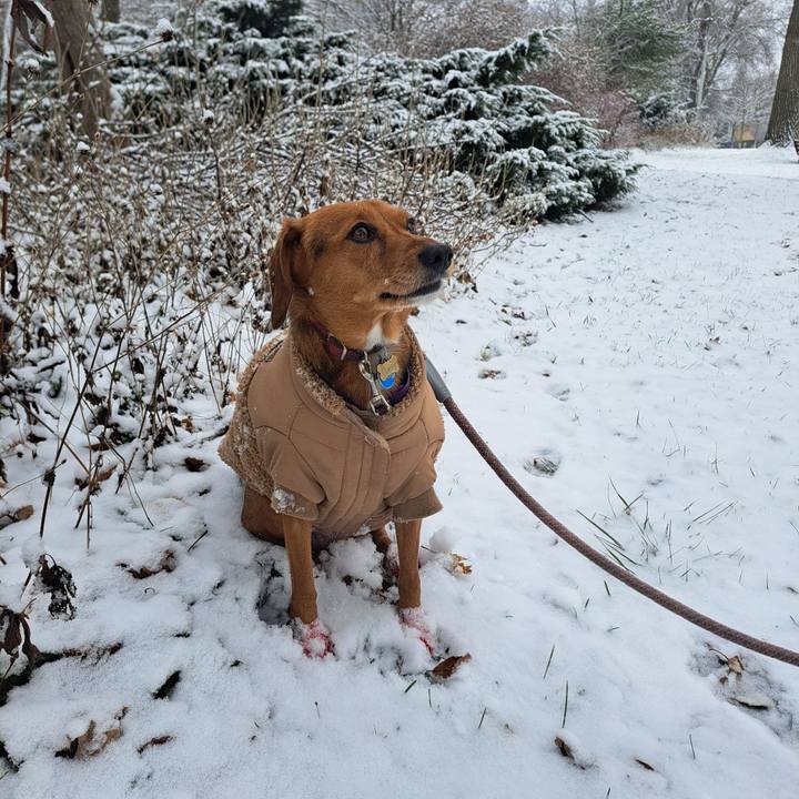 037287ad 474e 4ac2 9ab7 f0902b58b9cf 1765138499390