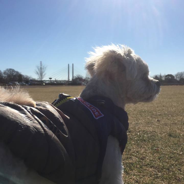 0372af33 9b27 4f29 b015 0e7533d54215 1514789683277