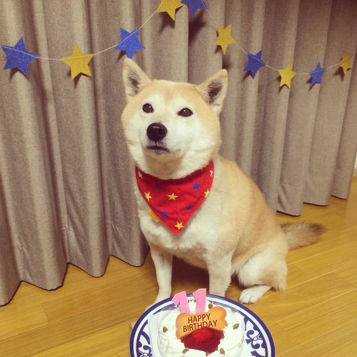 03733c82 4266 4831 8865 ff580c2e1b58 1520261157703