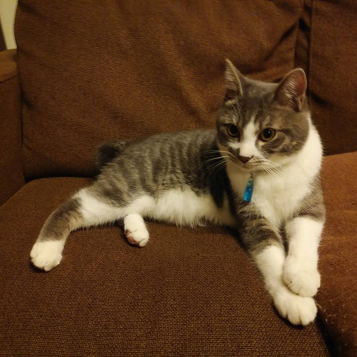 03734501 fbd0 4323 90d2 0417558bfc92 1577804466598