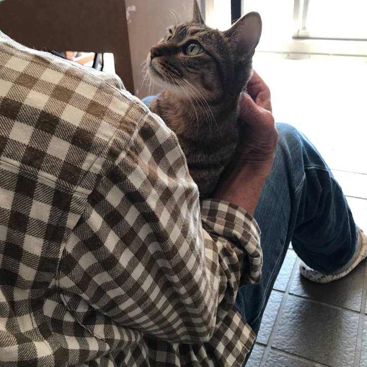 03735337 01a3 40be a235 046ce31fe1df 1603287842930