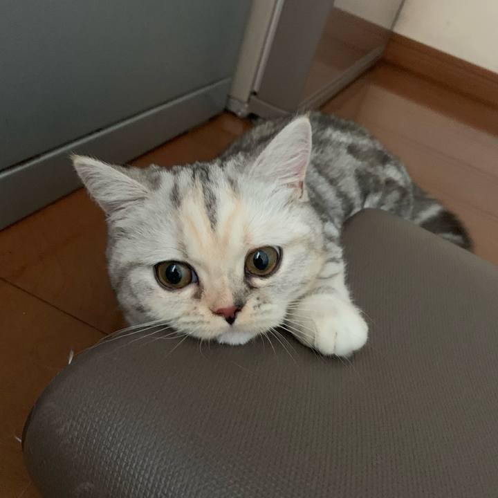 03735da5 b0c0 4903 9f71 bbce9d2f0db0 1705212159039