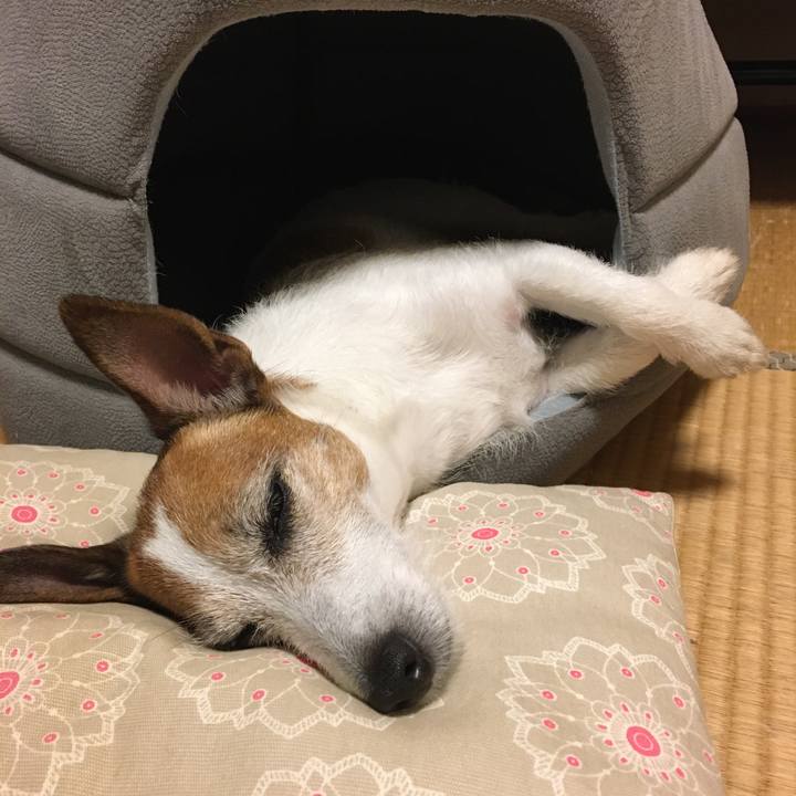 03736c23 d8b0 47a2 bfc3 17e7da162773 1621986558173