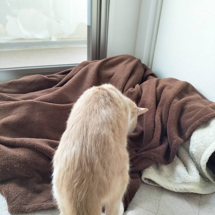 0373955e 699f 43ac 8806 9d559763e0f0 1681942521991