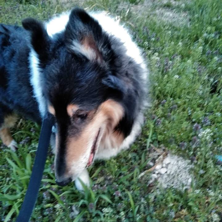 0373a1db dd60 4fc8 835a a42403ea58ec 1522678022642