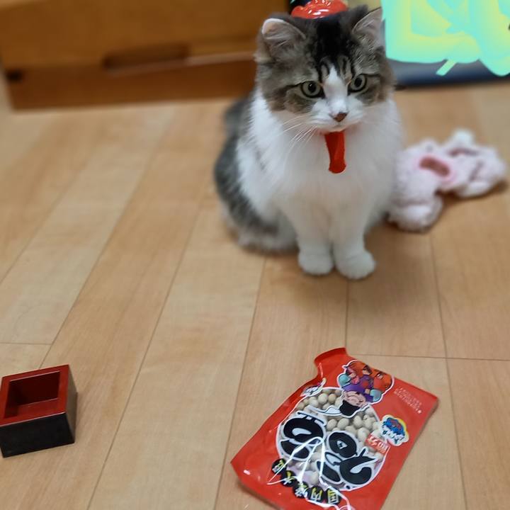 0373aa5d adbd 4349 815f 75fb06d24626 1612264636031