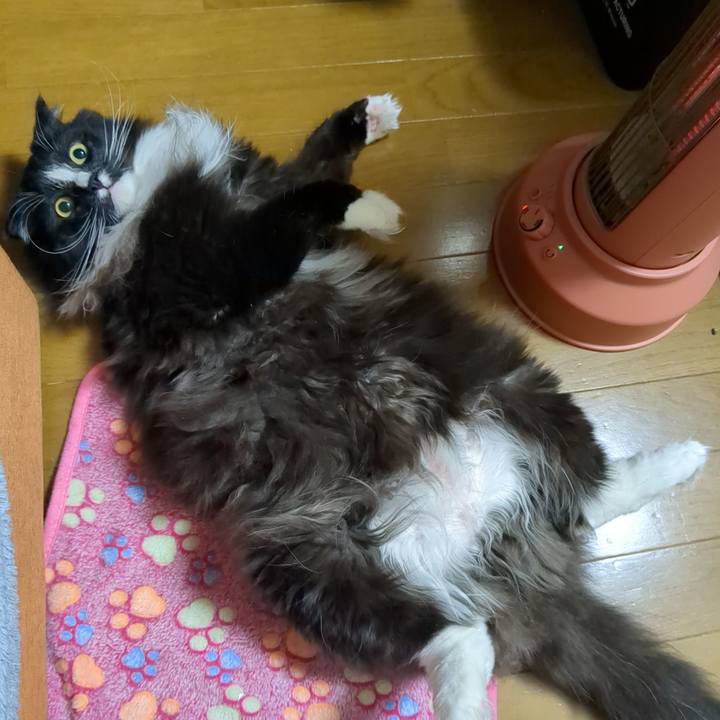 0373d90d c015 47c1 86c6 6c3df49be54d 1673729763543