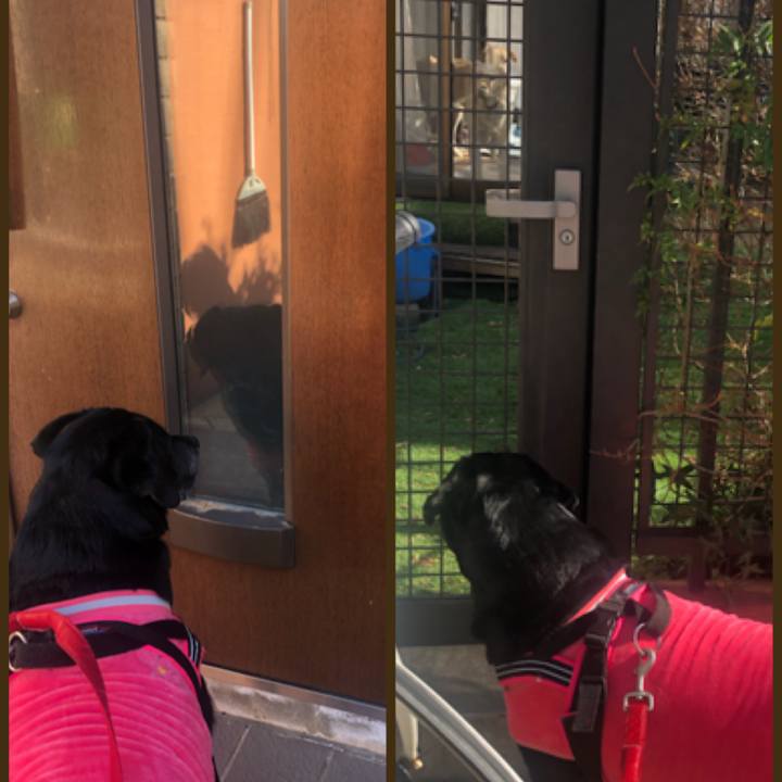 0373dd4f 6718 4745 938f e036da36b420 1580902507248