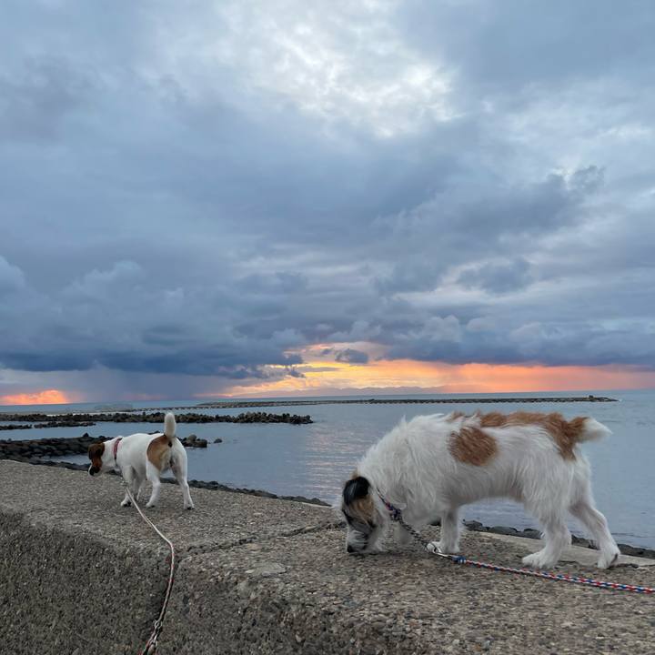 0373decb 1257 4b6a a99d 32f33540cddf 1635236134163