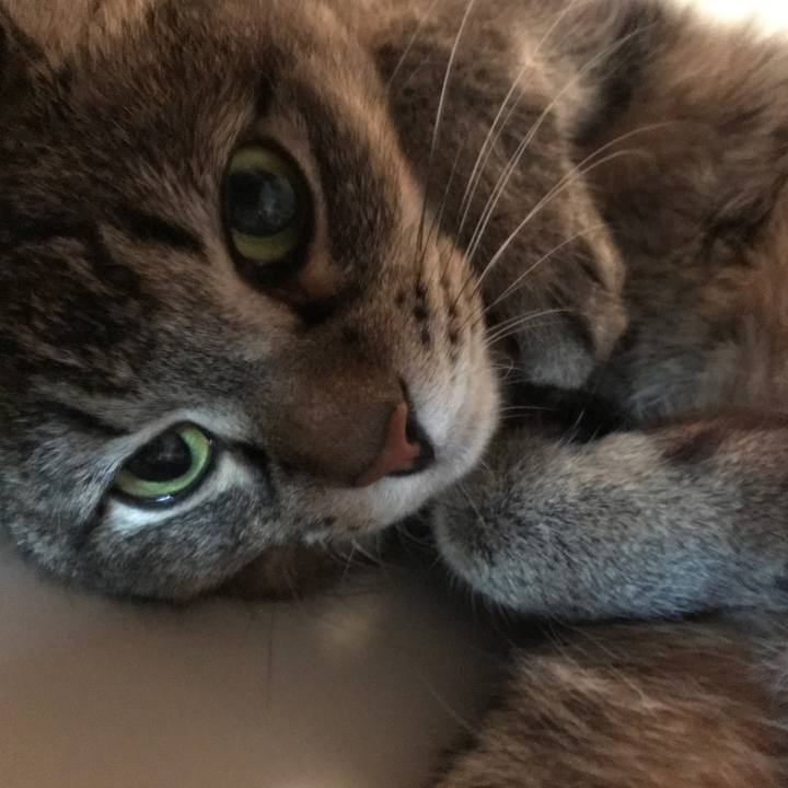 03741d8e 3973 4025 a2d6 7befe893e6e5 1565751514784