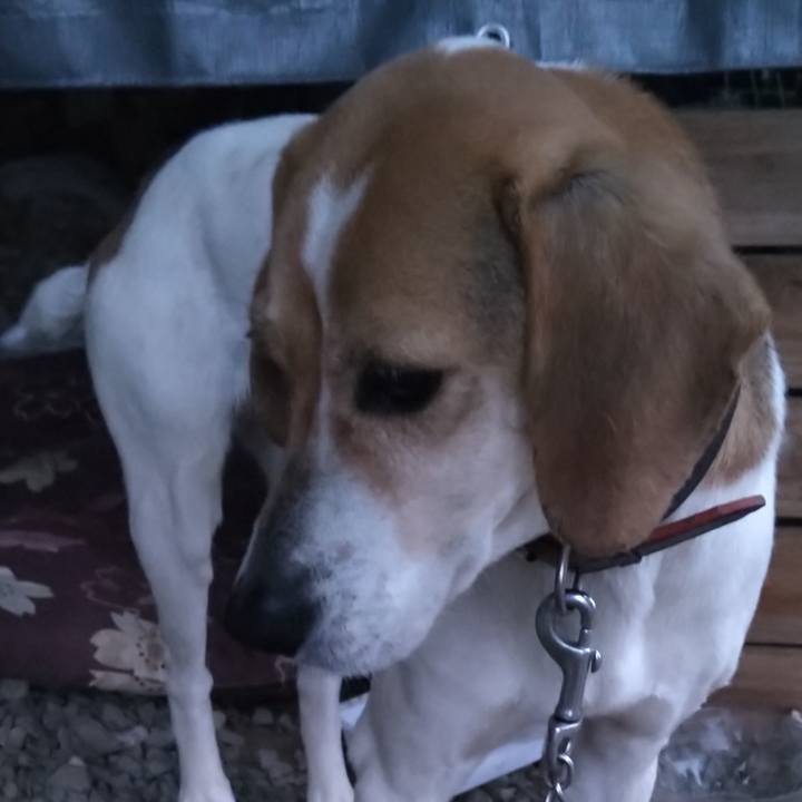 03746f3a b1e5 4fd8 be02 22a34f7394ba 1661163150557