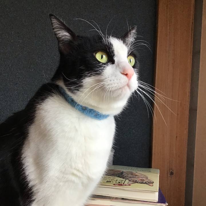 0374d18a ab92 41b0 88ff 098d201d5500 1738672417099