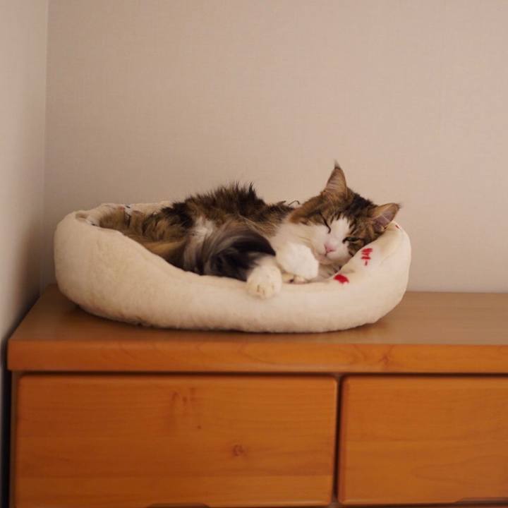 03750be1 3362 4c01 8111 e2612d5837b4 1608269464123