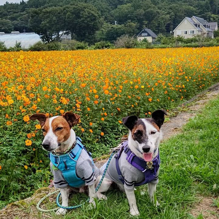 03752c17 bfd6 4baf 9ee3 76691962487e 1661589063618