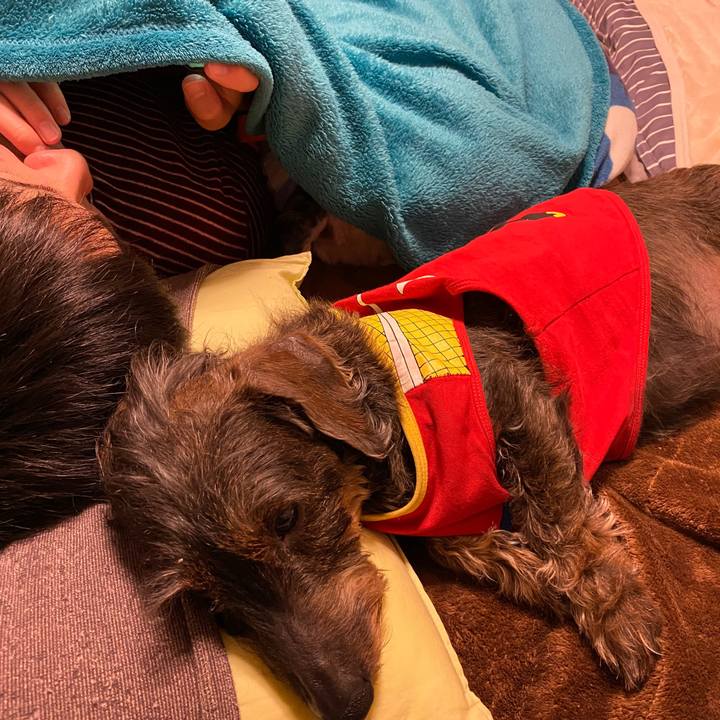 037540f8 05f2 4463 b205 6db6bede58a7 1583426416438