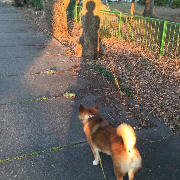 037562ef df8c 450a ba6b 1750b03dae69 1552812510759