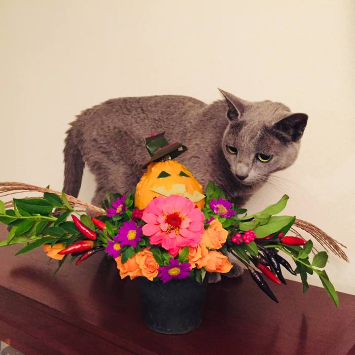 03756c31 29ea 4281 a8e3 b3418bd85b12 1572062314831