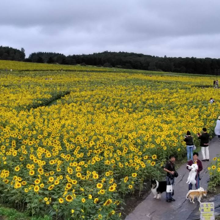 03756d14 a8c8 4cc3 8bb1 c0cc617f5303 1565491177995