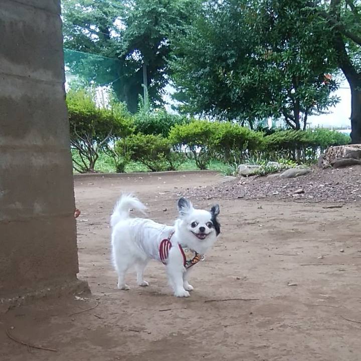 03757d67 909d 4a92 8230 8d77166b5fc2 1532605566834