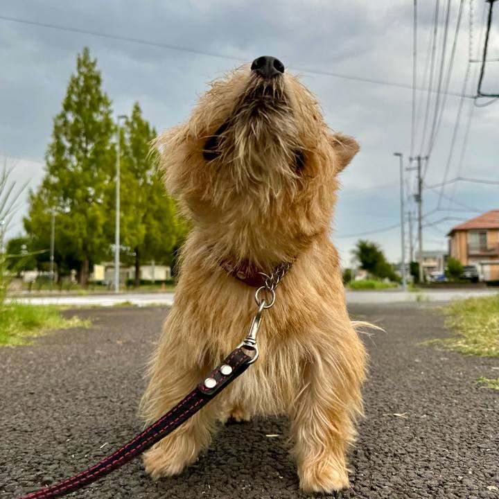 0375807f f33e 467c 9613 6f7339ee37a2 1757827714366