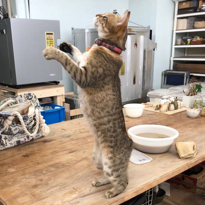 03759450 5493 475a ae01 4903db7fffff 1644667246463