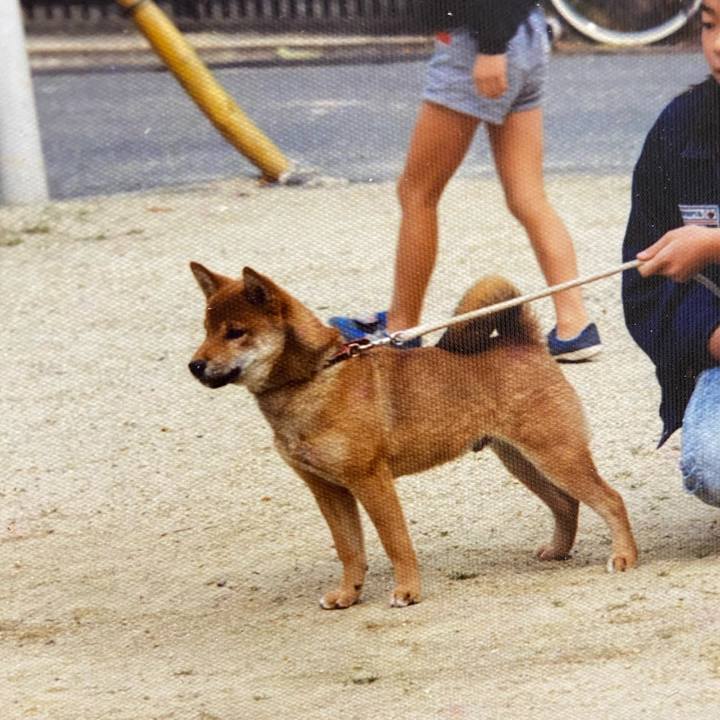 0375f0db d0a1 46f5 975f 526a67efdbc2 1674223932760