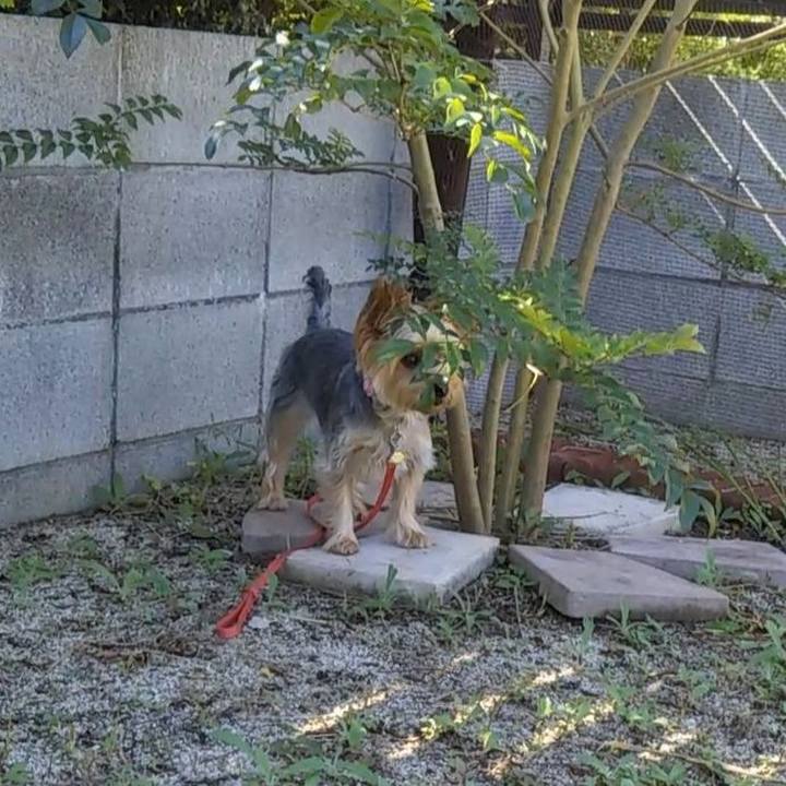 0376141a 129a 4a2b aaa8 2e7e9a0f394c 1632020171685