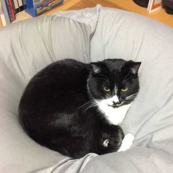 03763530 cc4a 4958 9650 99366a9c3a14 1515815032896