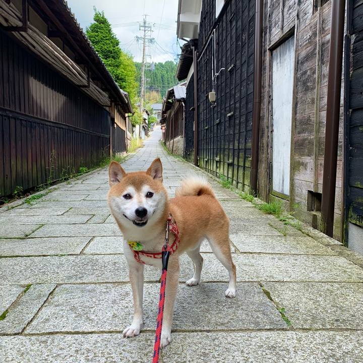 03769bc7 9caa 44f4 a298 ca5a14477d2b 1631010533437