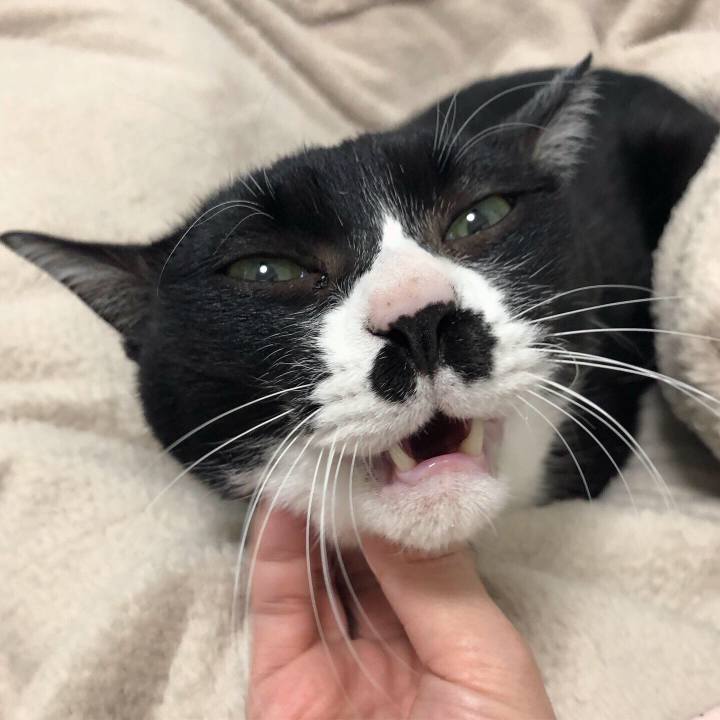 0376a896 399a 40d1 85a9 80a9a79068cd 1580745473346