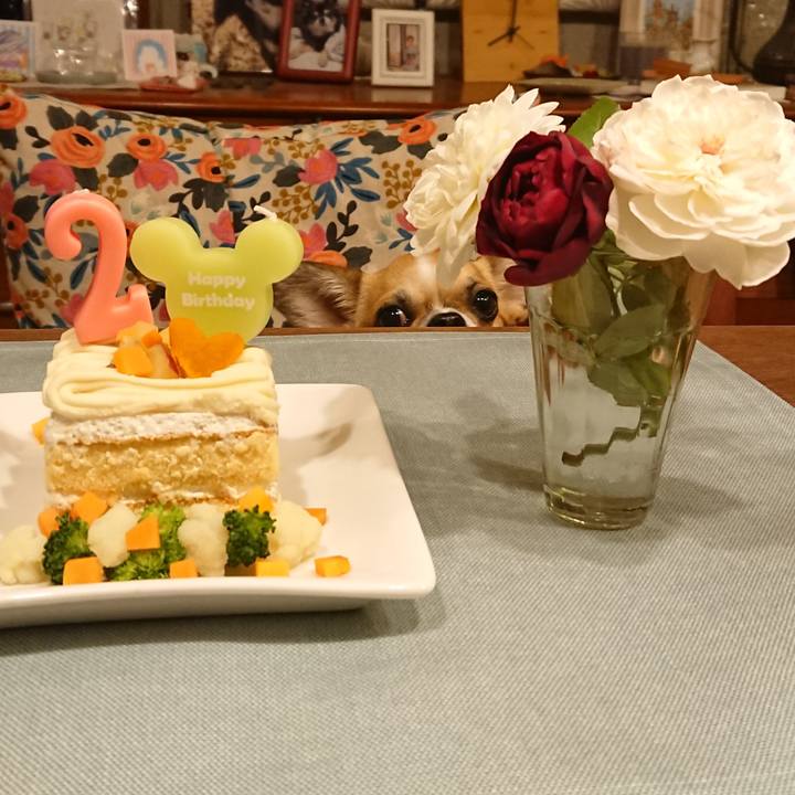 03778539 2e6f 4d5e ba30 32d08c6b2230 1574248775848