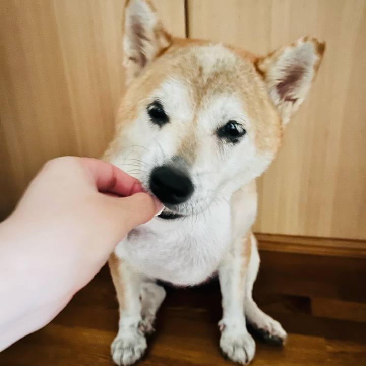 03778cbe bc7b 4707 abbe 4bb921865433 1757645677371