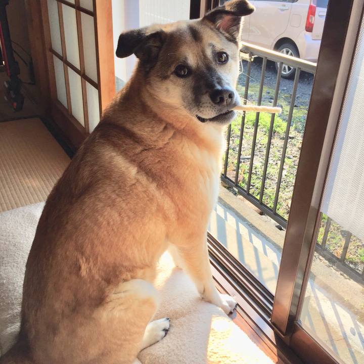 0377a7ab 3c3b 4e07 b8f5 902d167797cc 1521070757994