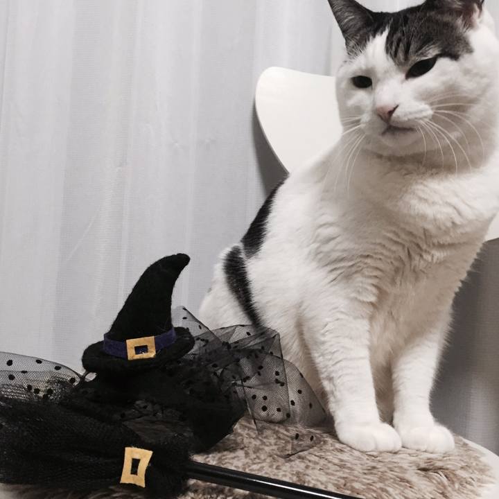 0377f310 8369 4426 875f 2c56c4f95a8a 1509457214228