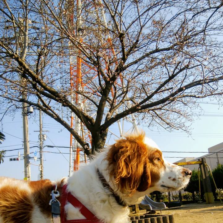 0378098b 7add 4961 b07c 3e961b66676a 1554347593341