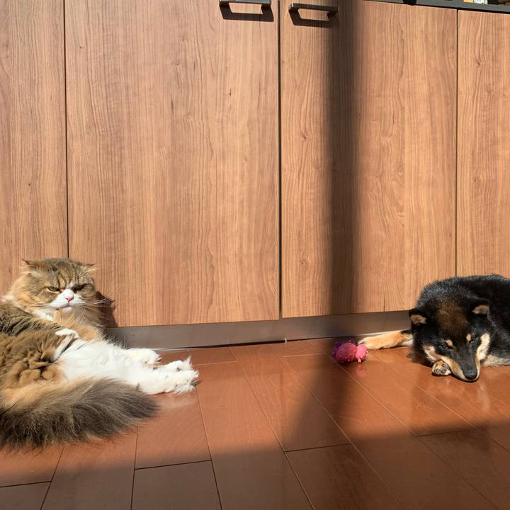 03783e12 e427 489c 9827 27f0de8794c8 1631264262813