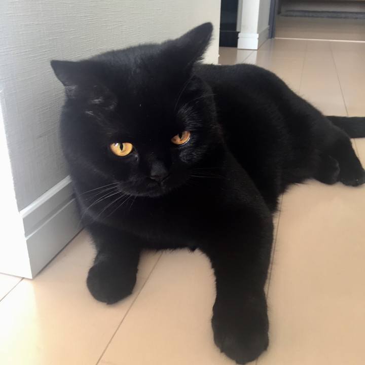 0378743f 1678 49f7 a91b 0160d9d6afc5 1556684949602