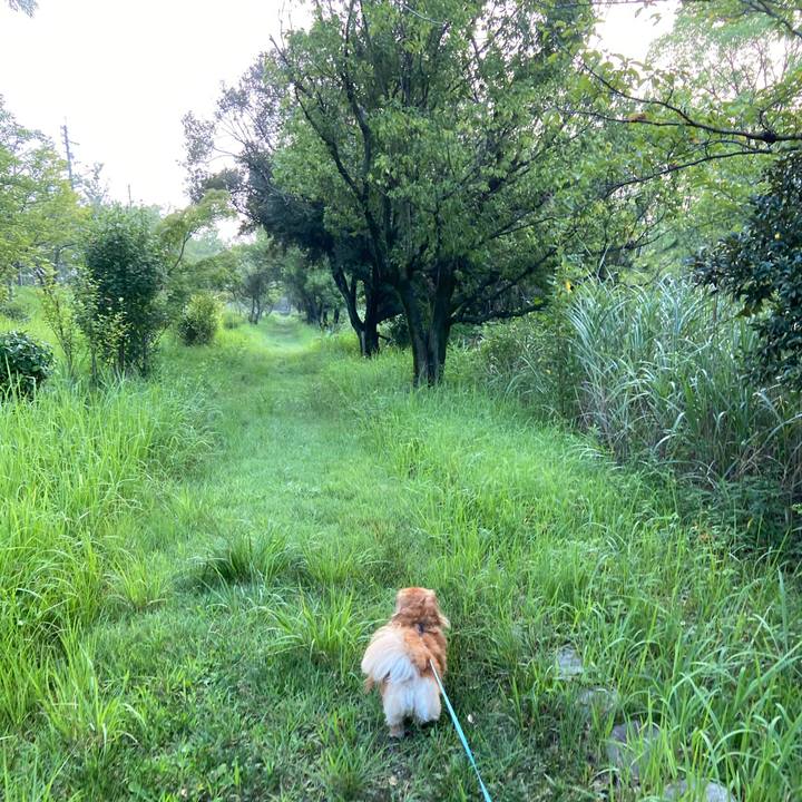 0378c0d5 1074 4520 ac87 3a4ece68a542 1596665323292