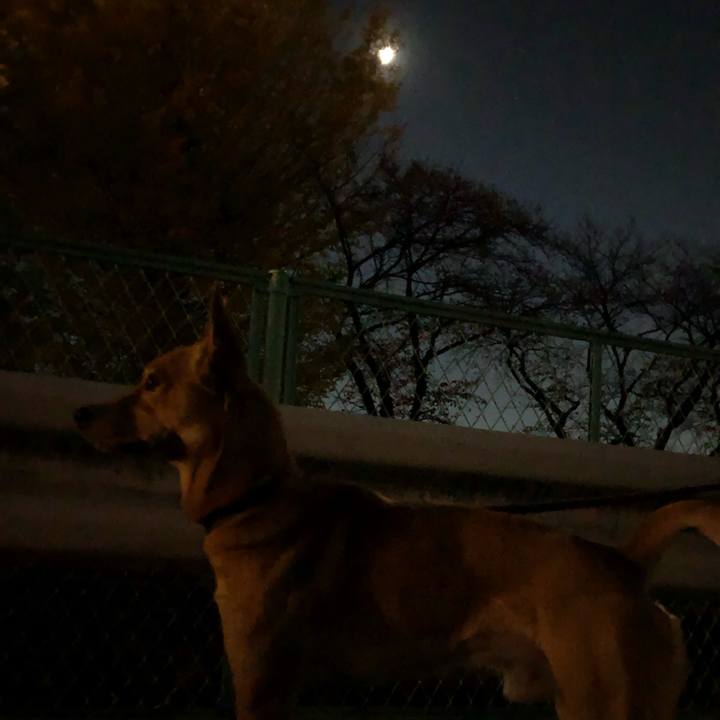 0378ed43 0d54 4735 964d 029034b7282e 1542885674180